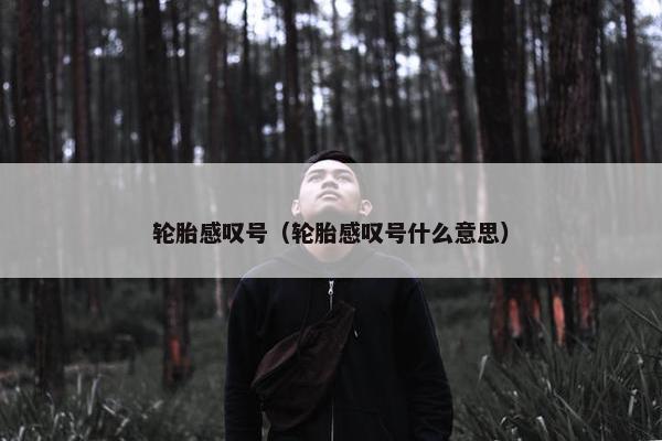 轮胎感叹号（轮胎感叹号什么意思）