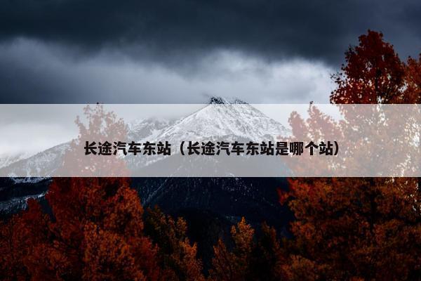 长途汽车东站（长途汽车东站是哪个站）