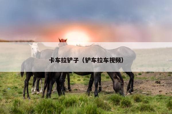 卡车拉铲子（铲车拉车视频）