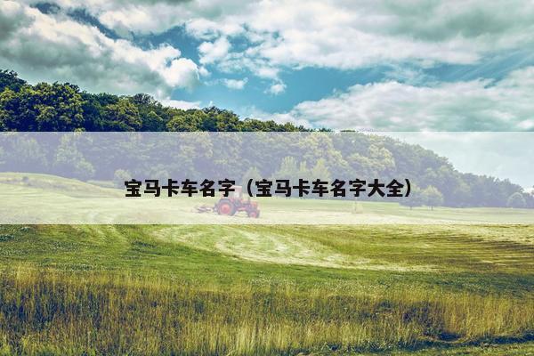 宝马卡车名字（宝马卡车名字大全）