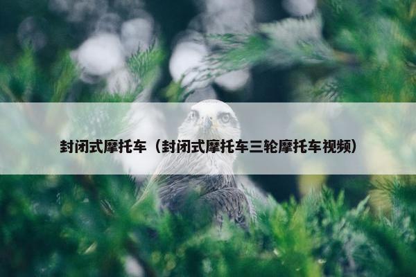 封闭式摩托车（封闭式摩托车三轮摩托车视频）