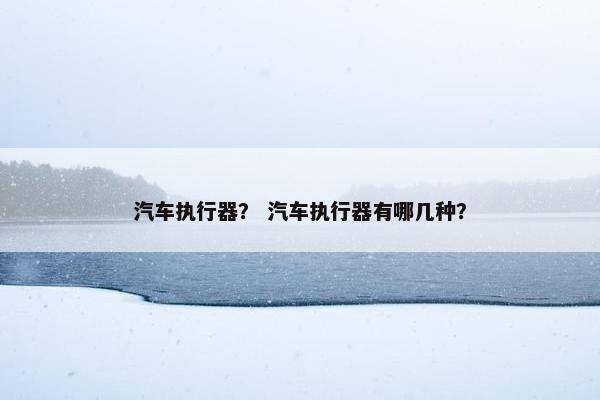 汽车执行器？ 汽车执行器有哪几种？