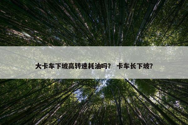 大卡车下坡高转速耗油吗？ 卡车长下坡？