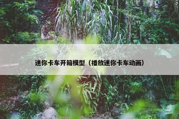迷你卡车开箱模型（播放迷你卡车动画）