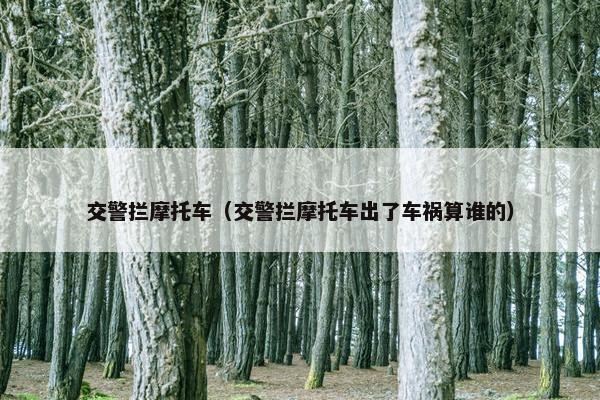 交警拦摩托车（交警拦摩托车出了车祸算谁的）