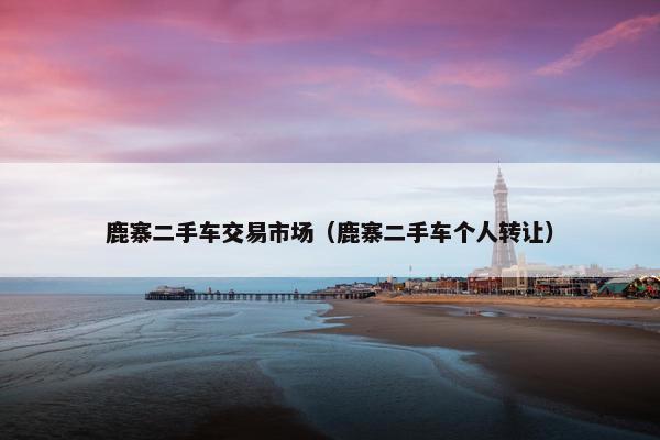 鹿寨二手车交易市场（鹿寨二手车个人转让）