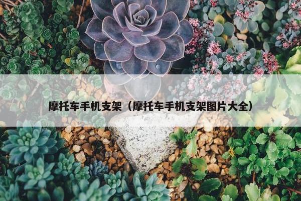 摩托车手机支架（摩托车手机支架图片大全）