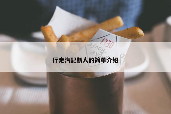 行走汽配新人的简单介绍