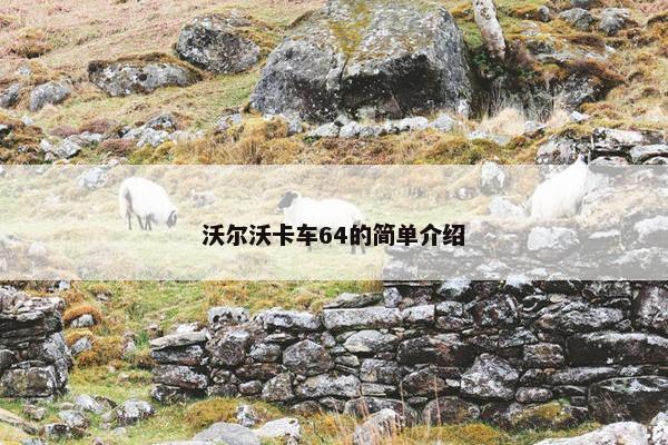 沃尔沃卡车64的简单介绍