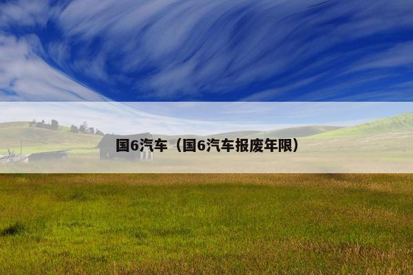 国6汽车（国6汽车报废年限）