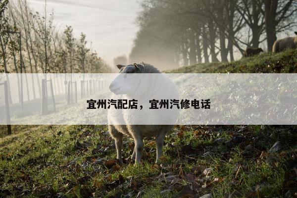 宜州汽配店，宜州汽修电话