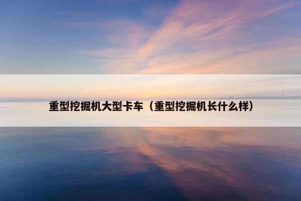 重型挖掘机大型卡车（重型挖掘机长什么样）