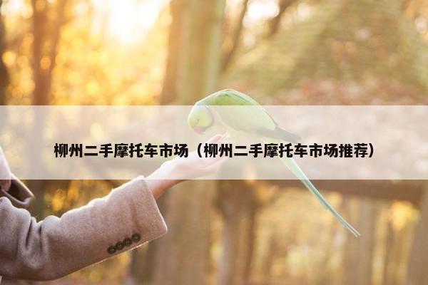 柳州二手摩托车市场（柳州二手摩托车市场推荐）