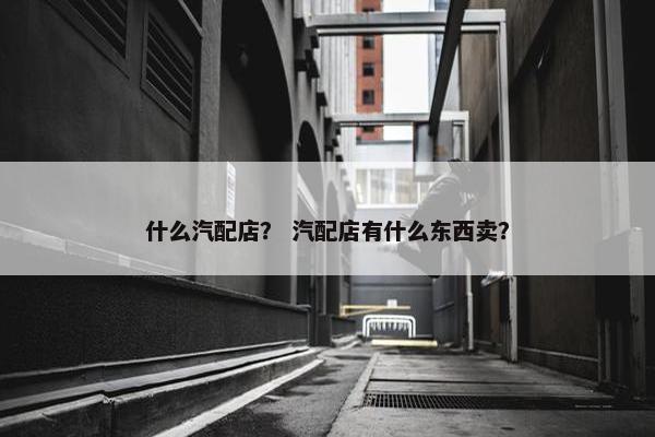 什么汽配店？ 汽配店有什么东西卖？
