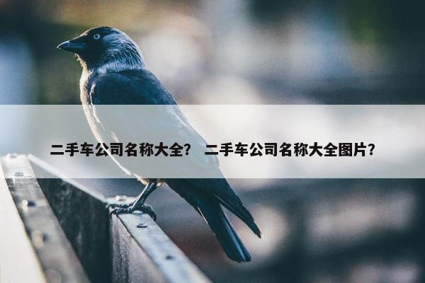 二手车公司名称大全？ 二手车公司名称大全图片？