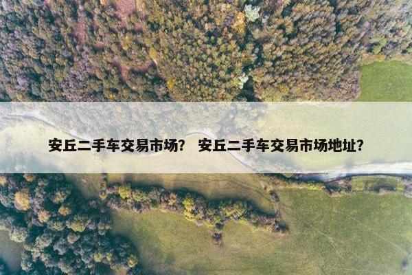 安丘二手车交易市场？ 安丘二手车交易市场地址？
