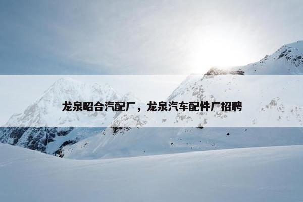 龙泉昭合汽配厂，龙泉汽车配件厂招聘