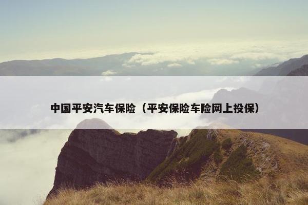 中国平安汽车保险（平安保险车险网上投保）
