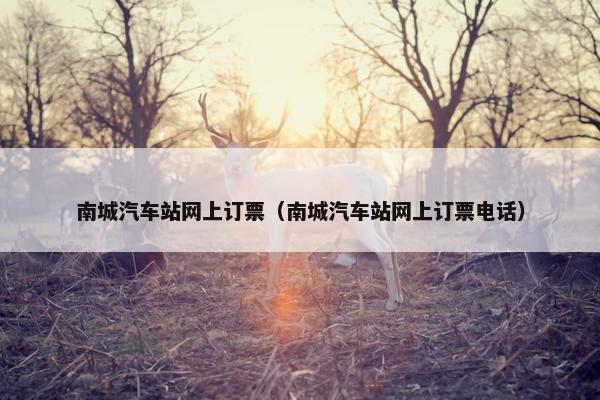 南城汽车站网上订票（南城汽车站网上订票电话）