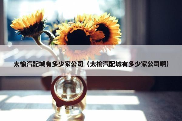 太榆汽配城有多少家公司（太榆汽配城有多少家公司啊）
