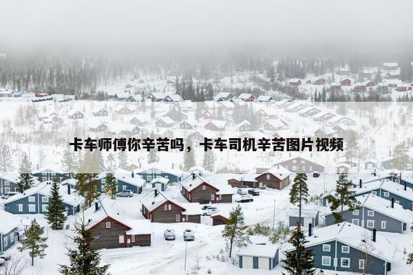 卡车师傅你辛苦吗，卡车司机辛苦图片视频