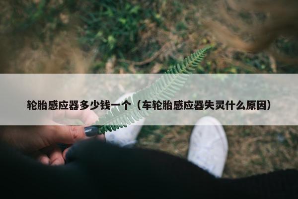 轮胎感应器多少钱一个（车轮胎感应器失灵什么原因）