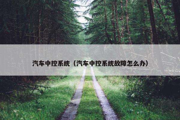 汽车中控系统（汽车中控系统故障怎么办）