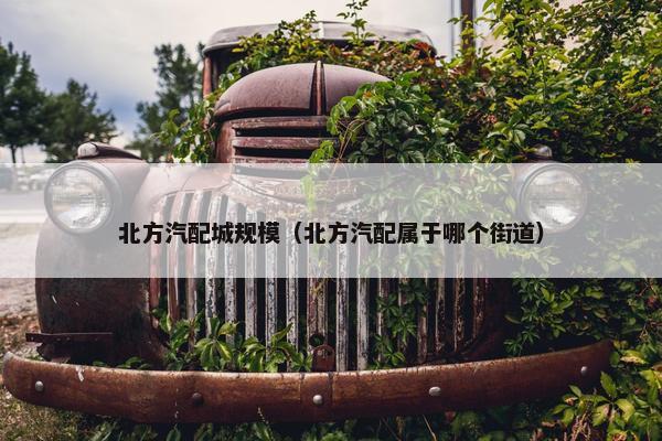 北方汽配城规模（北方汽配属于哪个街道）