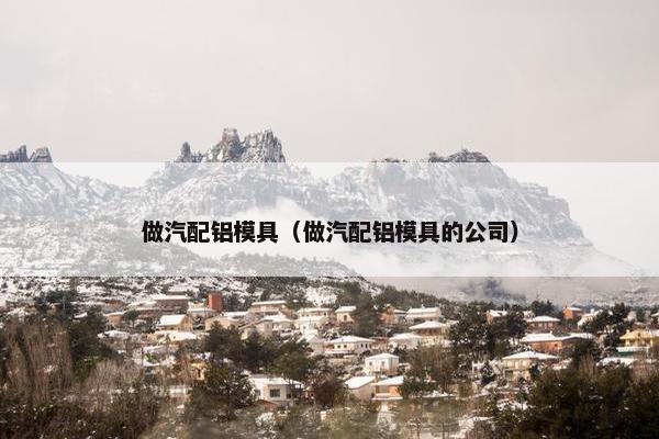 做汽配铝模具（做汽配铝模具的公司）