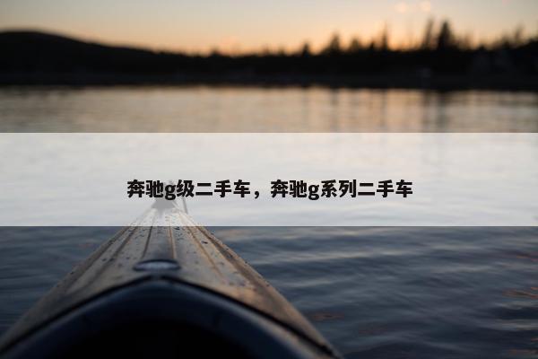 奔驰g级二手车，奔驰g系列二手车