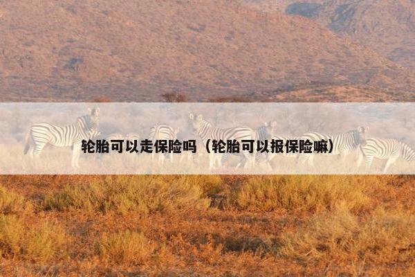 轮胎可以走保险吗（轮胎可以报保险嘛）