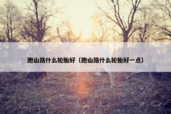 跑山路什么轮胎好（跑山路什么轮胎好一点）