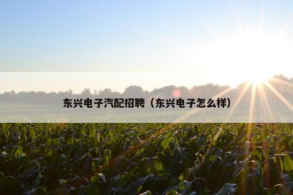 东兴电子汽配招聘（东兴电子怎么样）