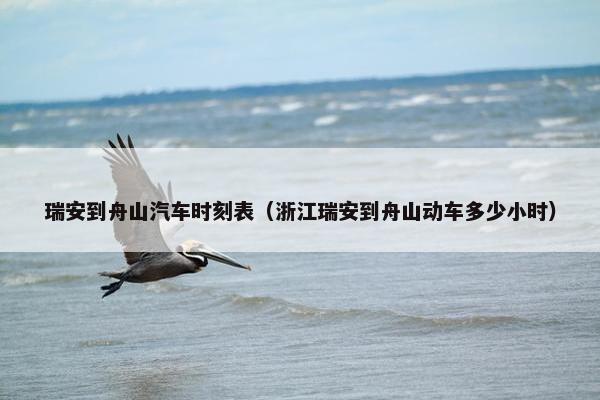 瑞安到舟山汽车时刻表（浙江瑞安到舟山动车多少小时）