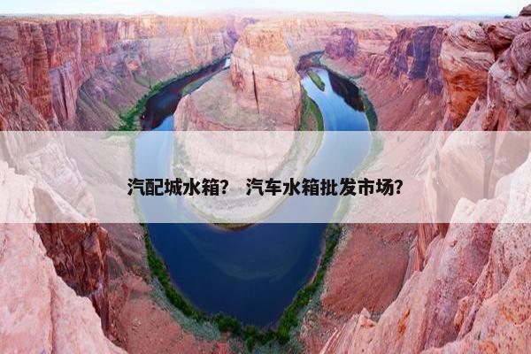 汽配城水箱？ 汽车水箱批发市场？