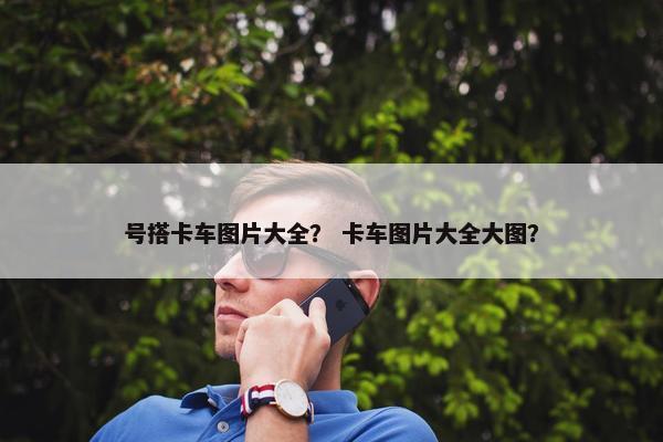 号搭卡车图片大全？ 卡车图片大全大图？