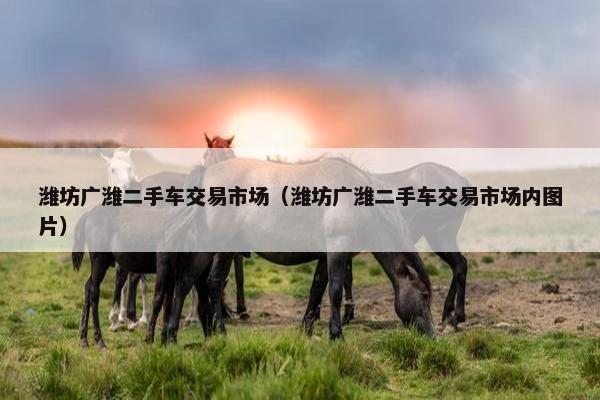 潍坊广潍二手车交易市场（潍坊广潍二手车交易市场内图片）