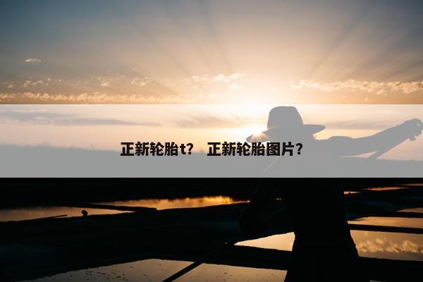 正新轮胎t？ 正新轮胎图片？