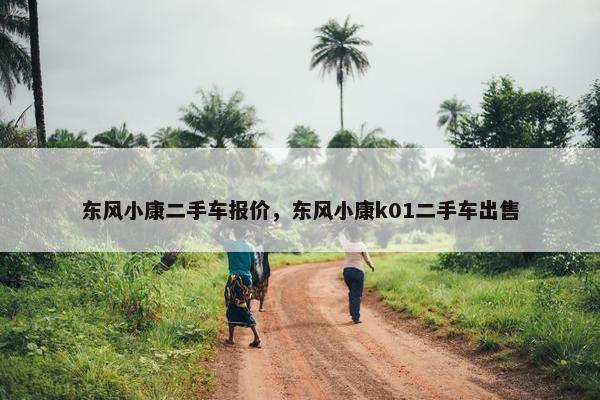 东风小康二手车报价，东风小康k01二手车出售