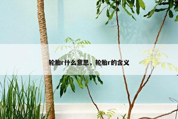 轮胎r什么意思，轮胎r的含义