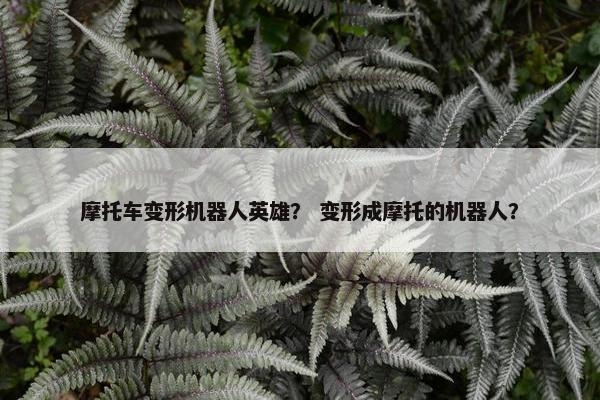 摩托车变形机器人英雄？ 变形成摩托的机器人？