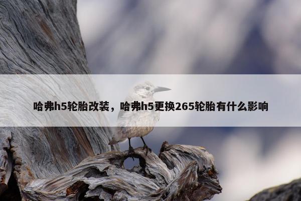 哈弗h5轮胎改装，哈弗h5更换265轮胎有什么影响