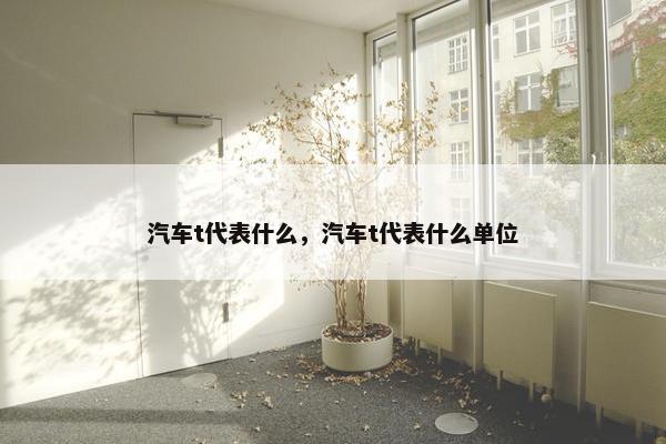 汽车t代表什么，汽车t代表什么单位