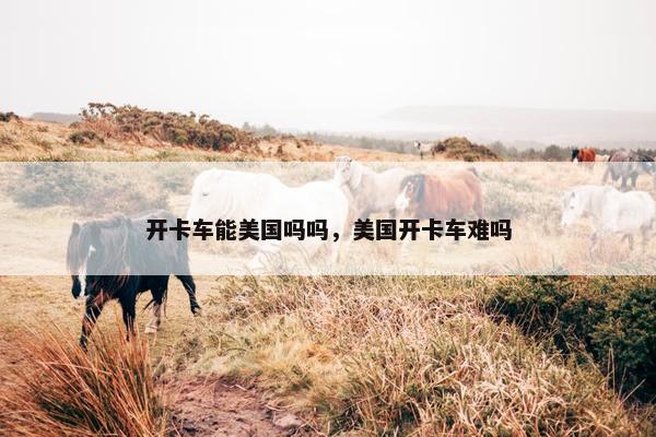 开卡车能美国吗吗，美国开卡车难吗