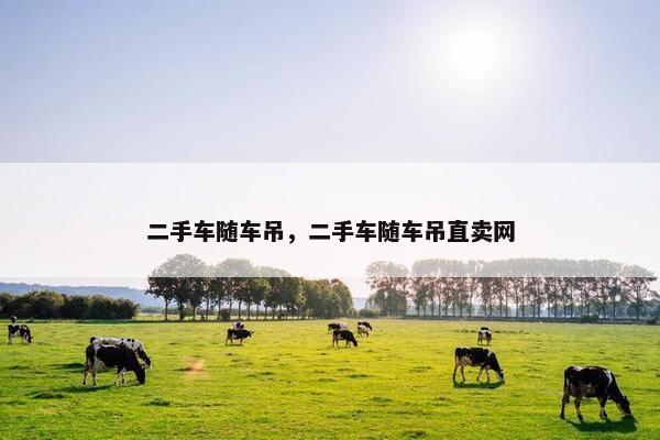 二手车随车吊，二手车随车吊直卖网