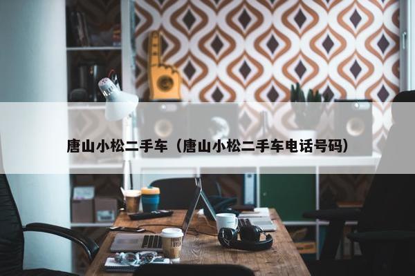 唐山小松二手车（唐山小松二手车电话号码）
