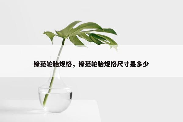 锋范轮胎规格，锋范轮胎规格尺寸是多少