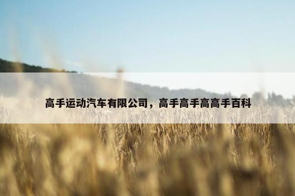 高手运动汽车有限公司，高手高手高高手百科
