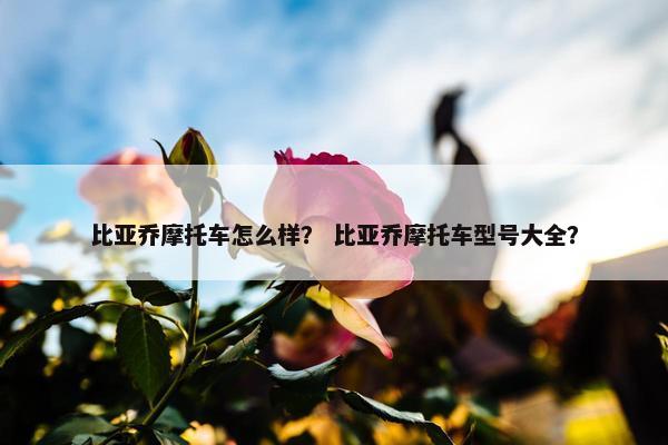 比亚乔摩托车怎么样？ 比亚乔摩托车型号大全？