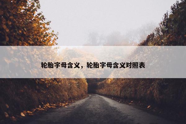 轮胎字母含义，轮胎字母含义对照表